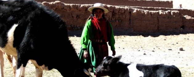 Comunitats rurals indígenes de Yura (Potosí)